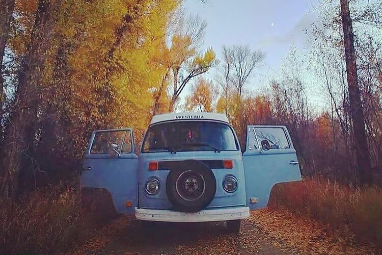 Chasing the Wild