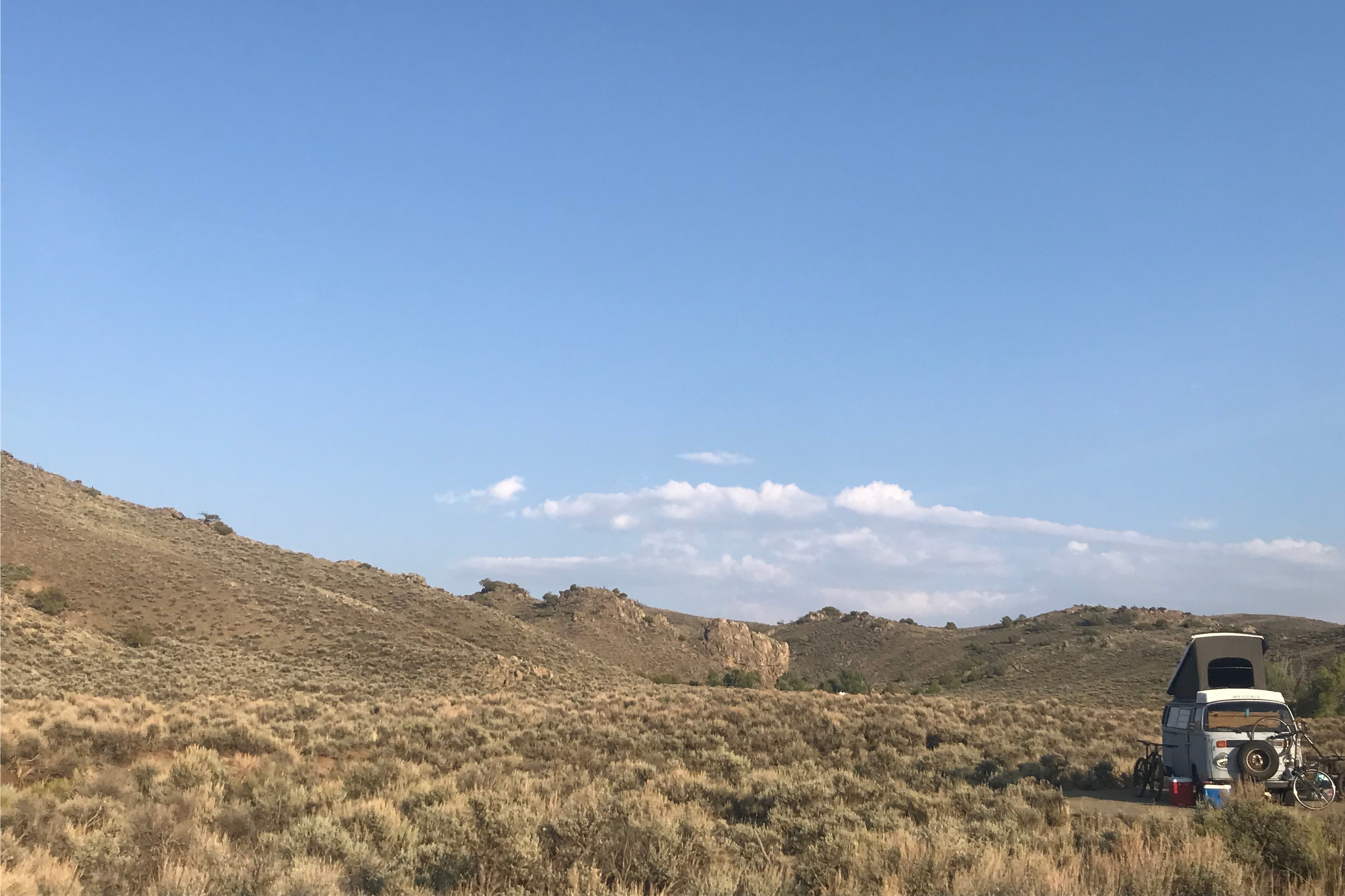 Chasing the Wild