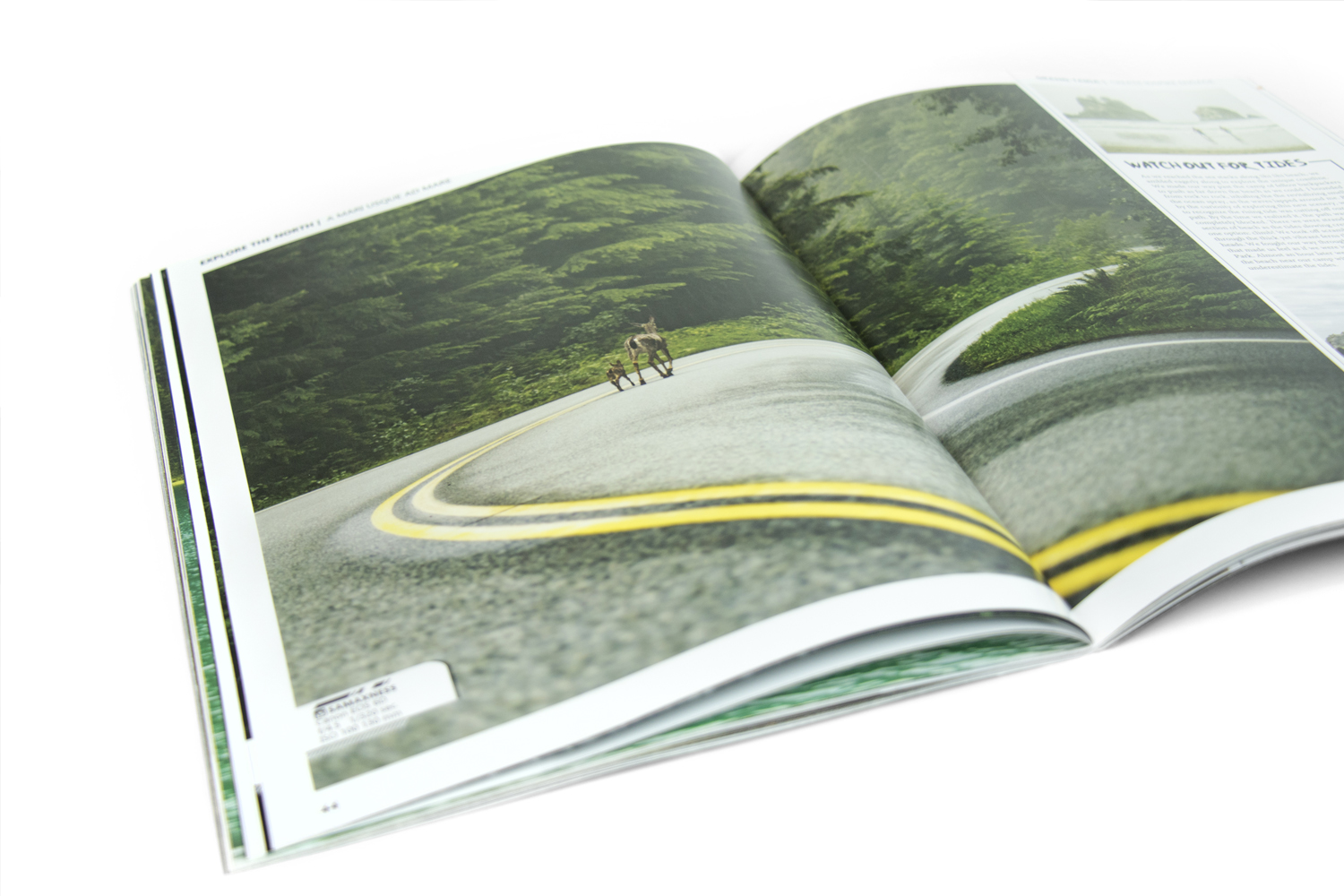 GrandTaiga Magazine Volume One